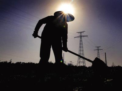 以競標(biāo)方式發(fā)包土地是違法還是改革？