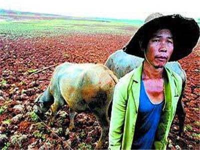 出嫁女入贅婿土地權(quán)益糾紛難斷