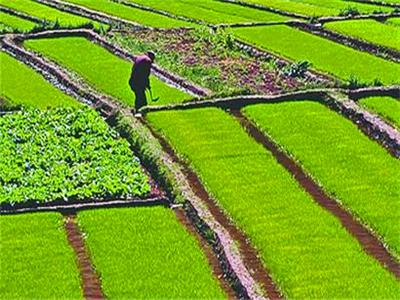 家庭承包方式的農(nóng)村土地承包經(jīng)營(yíng)權(quán)是否可以繼承案例