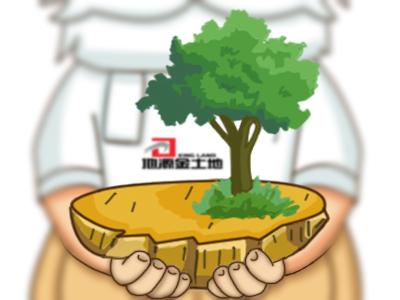 河南開封鼓樓區(qū)國有企業(yè)工業(yè)用地出租